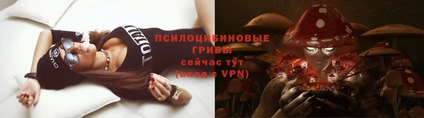 таблы Алексин