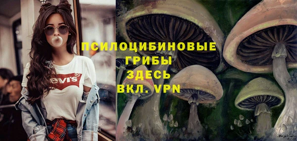 марки nbome Алексеевка
