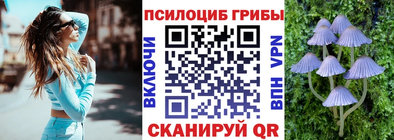 Галлюциногенные грибы Cubensis  Макушино 